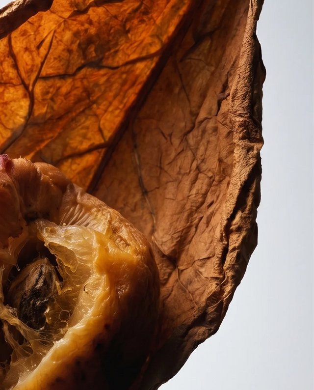 TOBACCO FRUITS